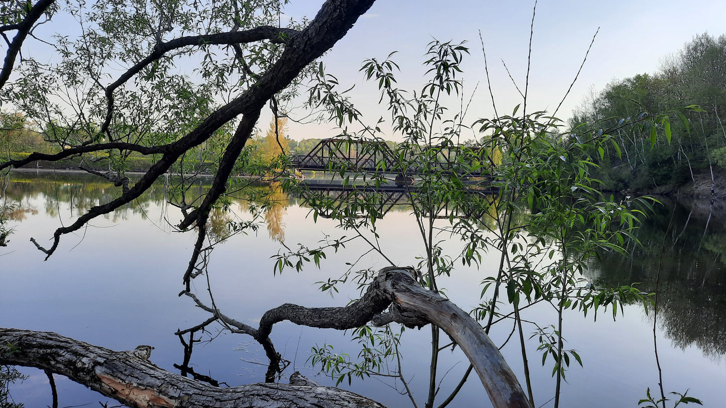 Pont Noir Du 21 Mai 2021 (Vue C2)