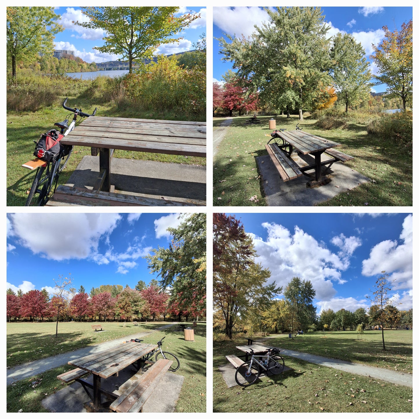 2024-10-05 Aire de repos (Vue Table 5)