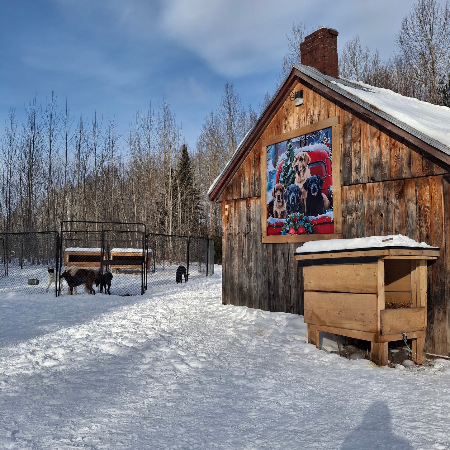 The Flying Dogs Shelter