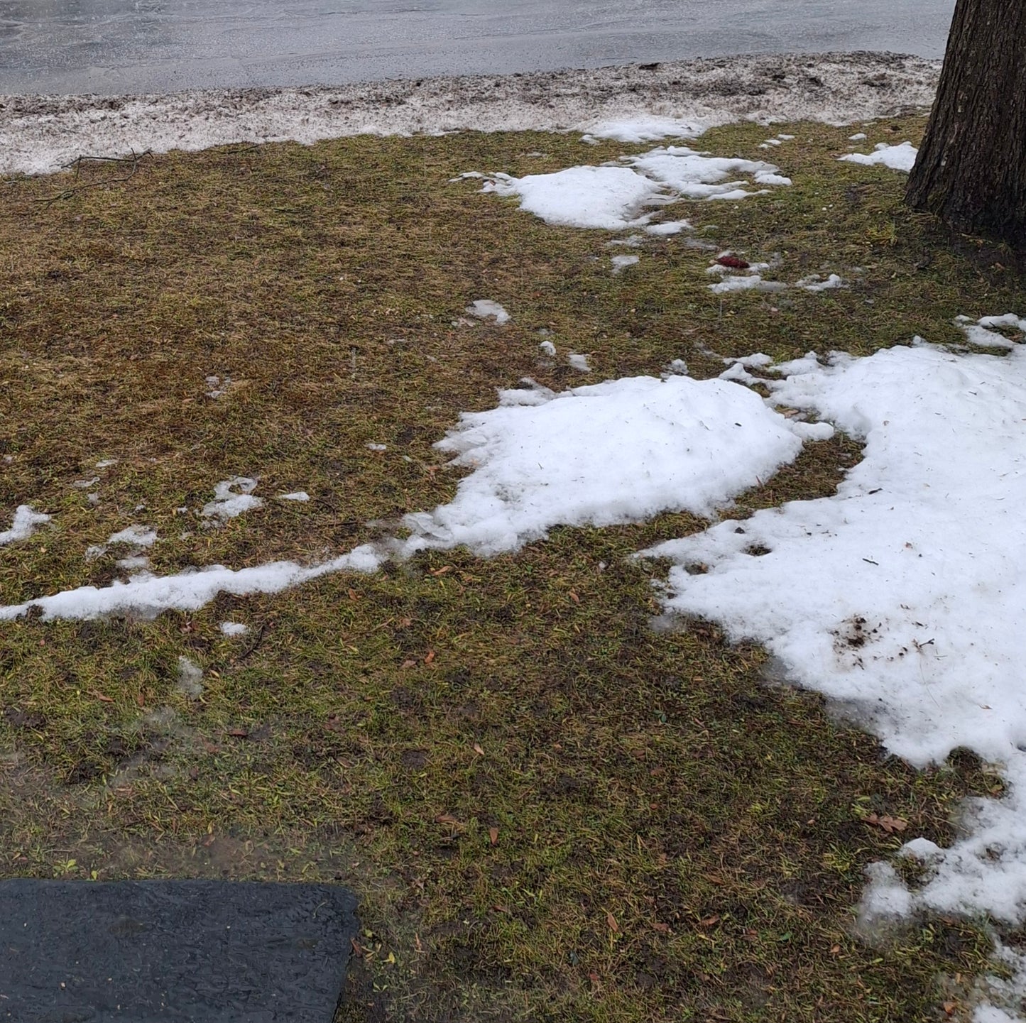 2025-12-19 Heavy rain