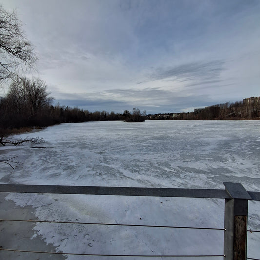 2025-12-20 13:24 (View T2)