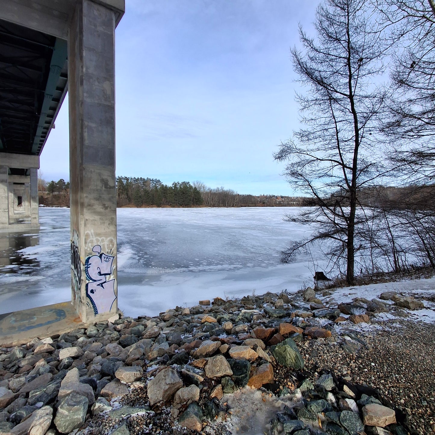 2025-12-20 13:26 (Stump View) Jacques Cartier Bridge in Sherbrooke
