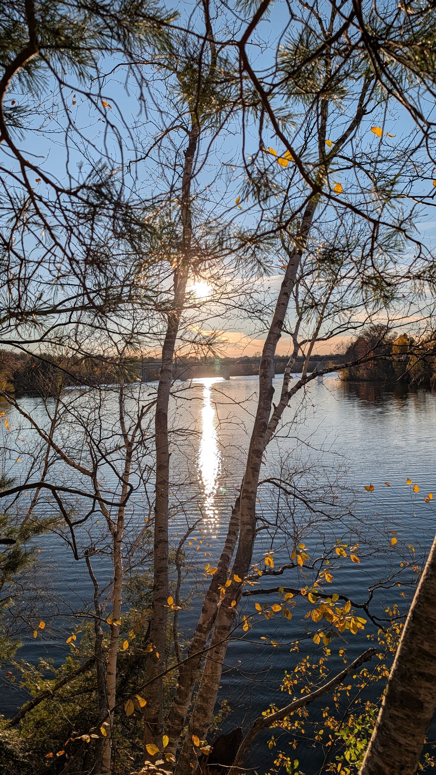 2026-10-23 16:53 (Vue 2.3)