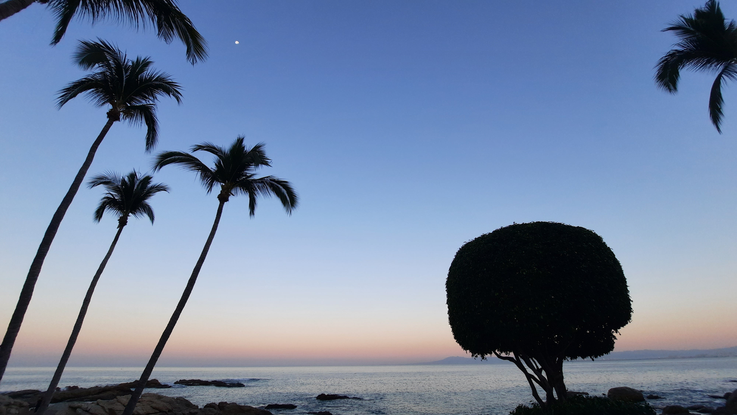 🇲🇽 Puerto Vallarta - Mexico 🇲🇽