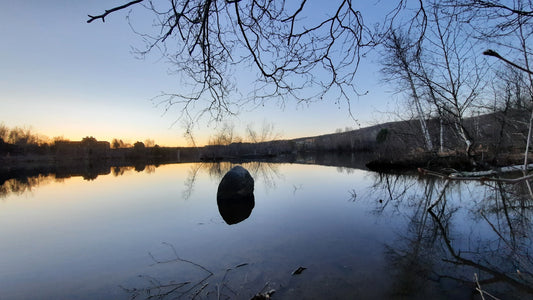 Le Rocher Du 13 Avril 2021 (Vue Rocher)