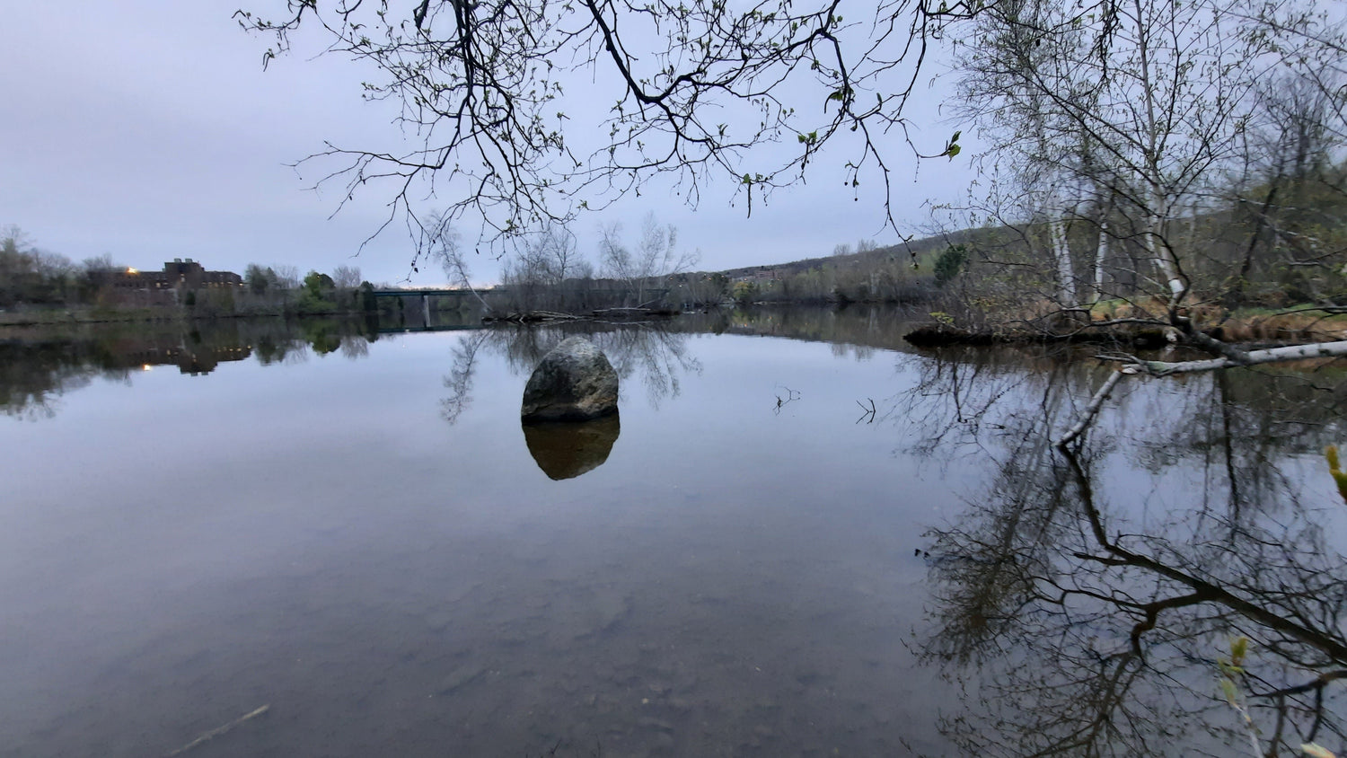 Le Rocher Du 9 Mai 2021 À 5H52 (Vue Rocher)