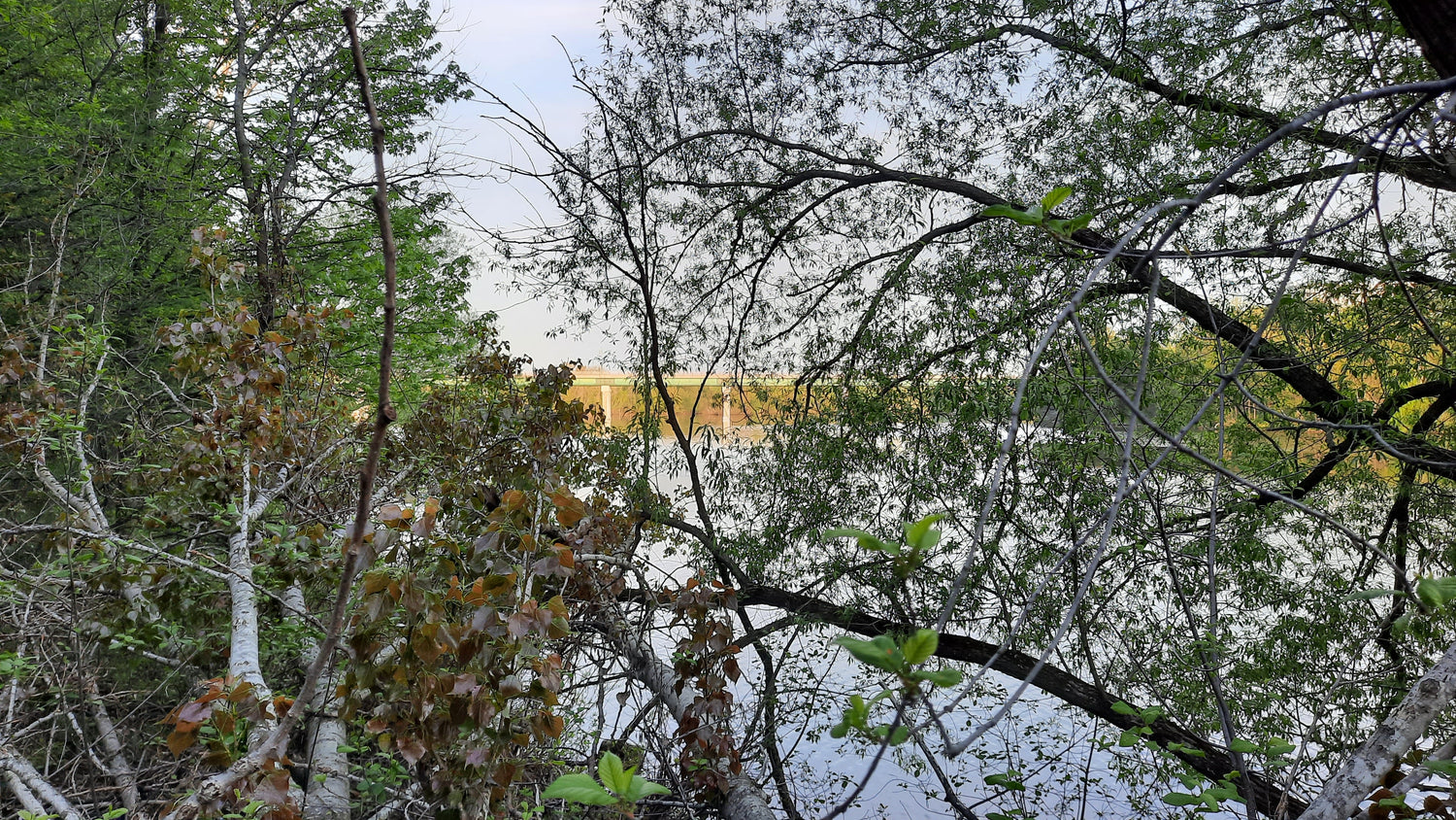 Le Pont Jacques Cartier Du 20 Mai 2021 (Vue S2)