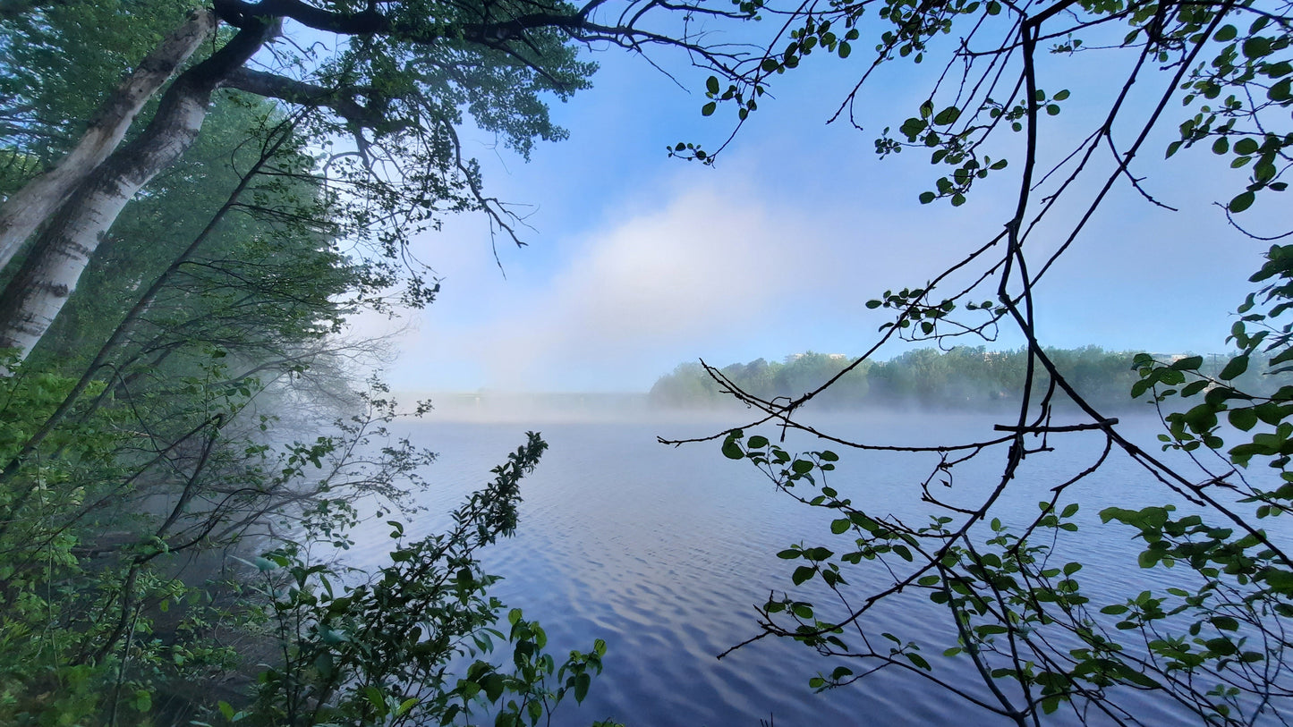 Le Bleu Et La Brume Du 24 Mai 2021 (Vue 0)