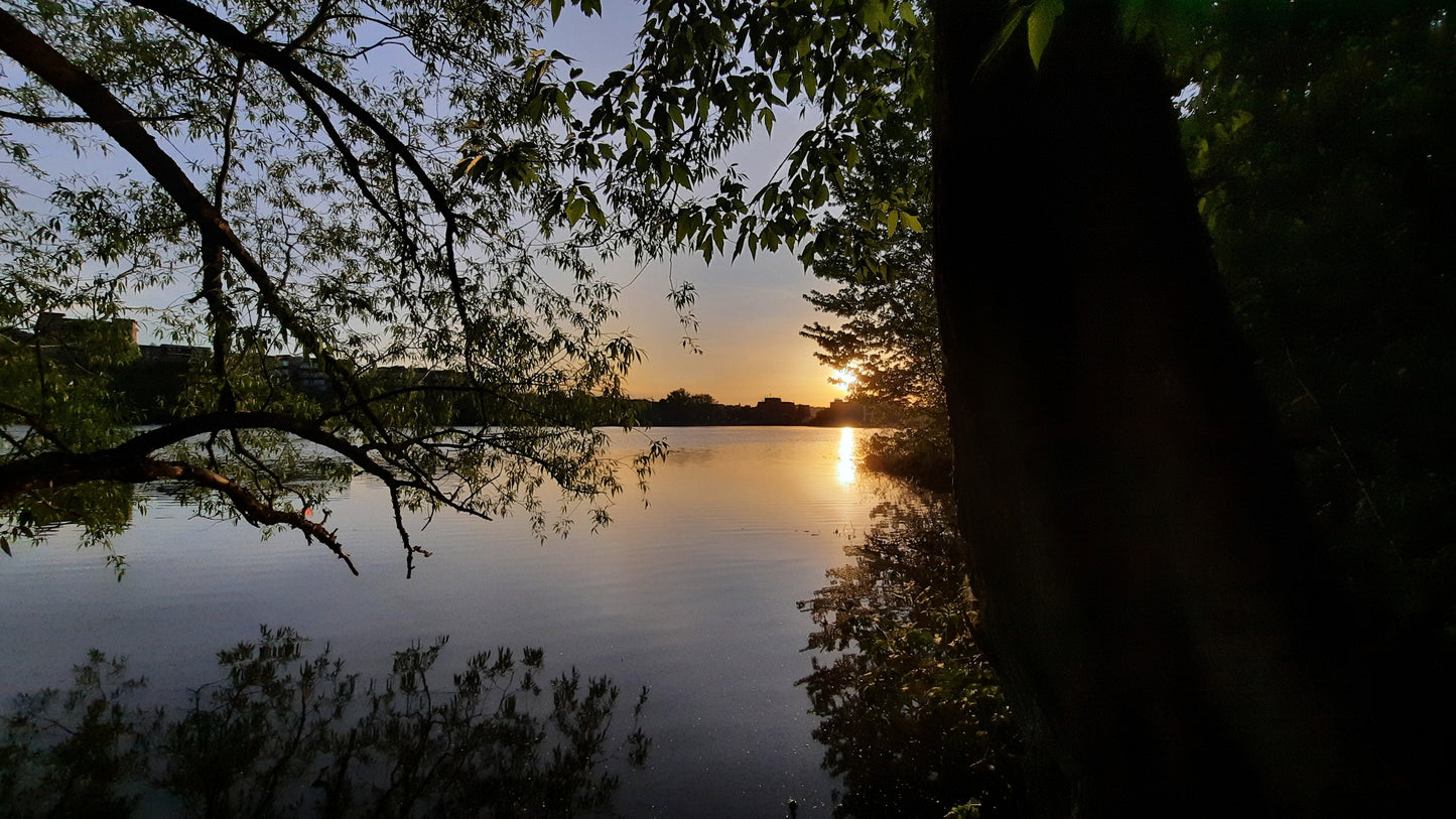 Le Soleil Du Lac Des Nations 25 Mai 2021 (Vue Sm110)