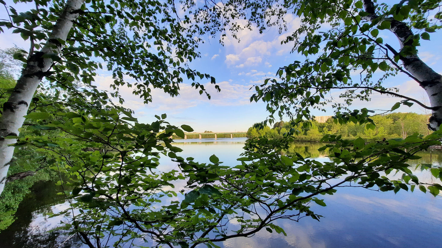 Pont Jacques Cartier De Sherbrooke Du 30 Mai 2021 (Vue 2.1)