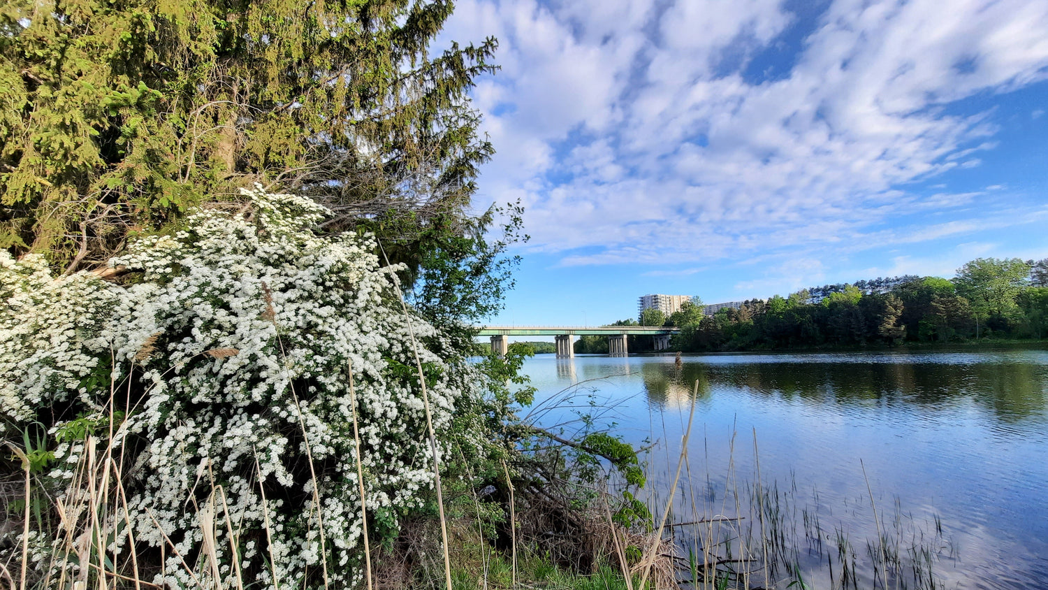 Pont Jacques Cartier De Sherbrooke Du 30 Mai 2021 (Vue P1E)