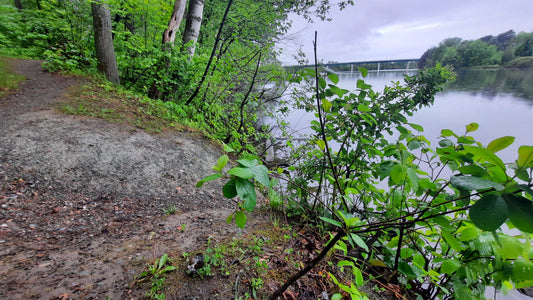 Pont Jacques Cartier De Sherbrooke Trouve Escargot Du 31 Mai 2021 (Vue P0) 5H47