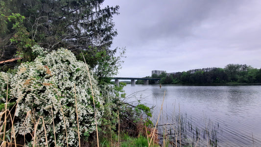 La Pluie Du 31 Mai 2021 (Vue P1E) 5H54