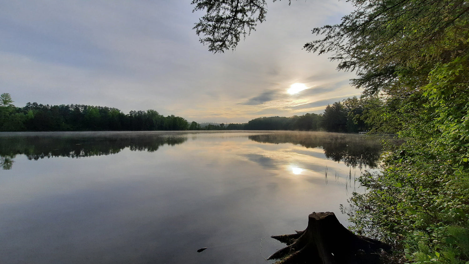 Soleil Et Brume Du 1 Juin 2021 (Vue Souche)