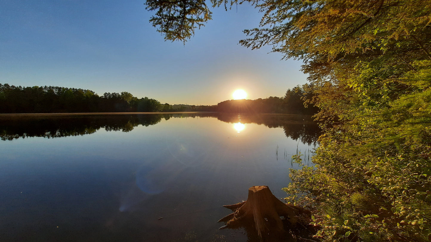 Le Soleil Du 2 Juin 2021 (Vue Souche) Photos