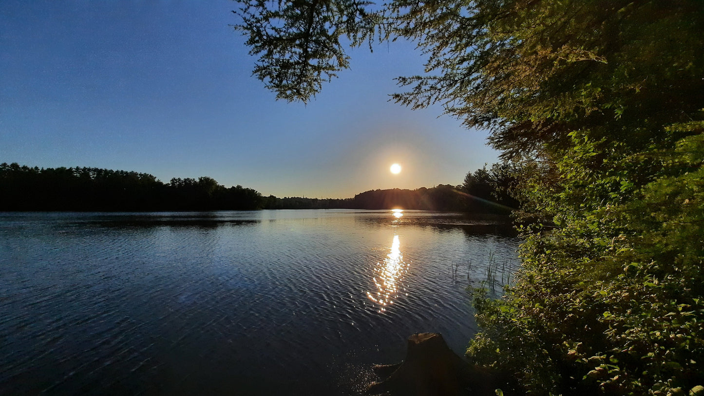 Soleil 16 Juin 2021 (Vue Souche) 5H55