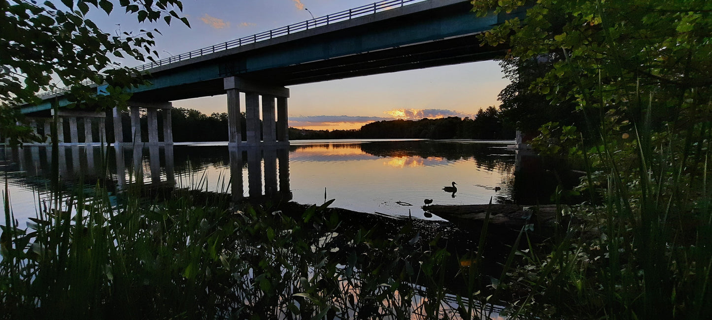 Trouve Les Canards Près Du Pont Cartier De Sherbrooke 3 Août 2021 5H54 (Vue K1)