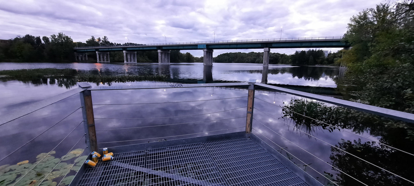 Trouve Les Déchets Du Jardin Grand Saule 12 Septembre 2021 6H22 (Vue T1) Rivière Magog