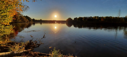 Parfaite Symétrie Du Soleil Le 6 Octobre 2021 17H38 (Vue 1)  Rivière Magog À Sherbrooke. Pont