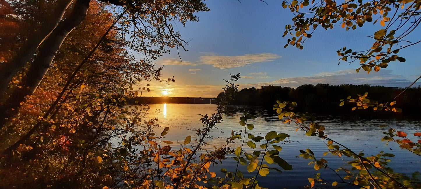 6 Photos--->Timelapse Du 10 Octobre 2021 17Hxx (Vue 0) Photos. Cliquez Pour Voir