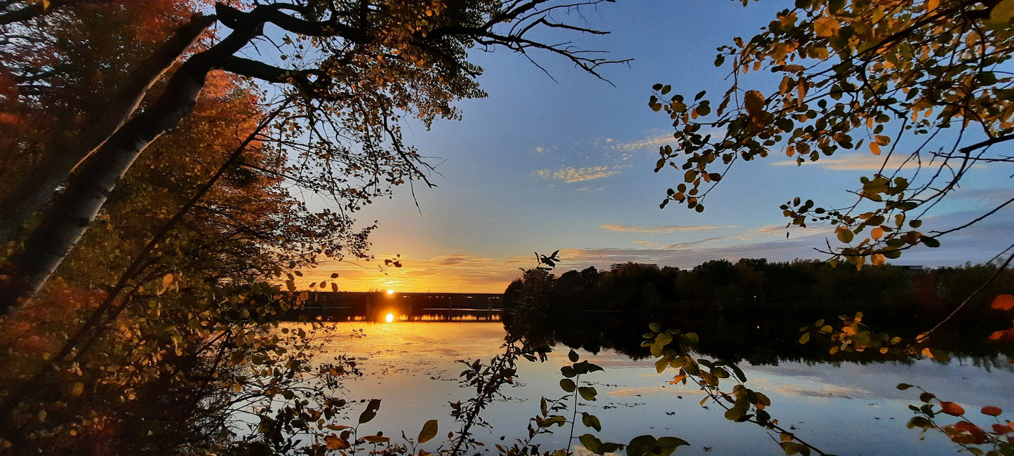 6 Photos--->Timelapse Du 10 Octobre 2021 17Hxx (Vue 0) Photos. Cliquez Pour Voir