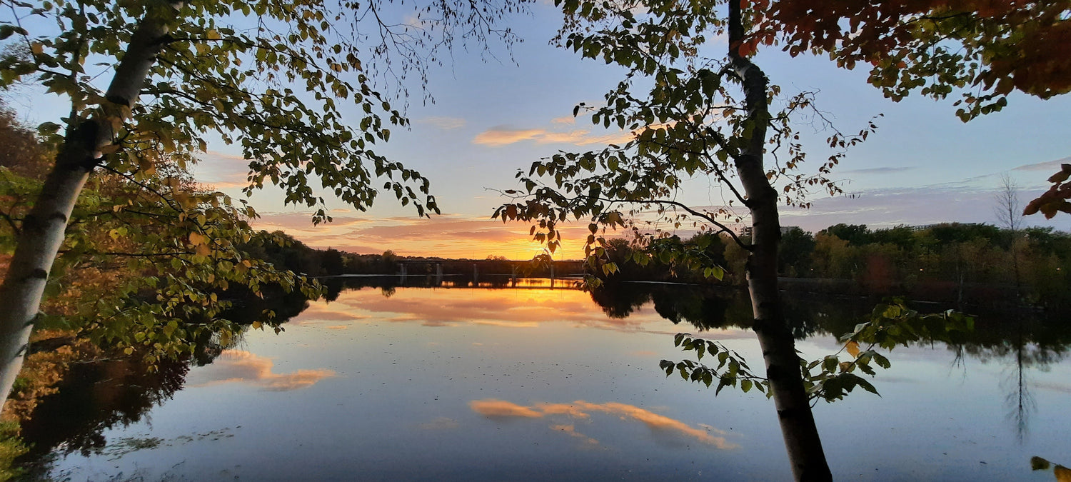 10 Octobre 2021 18H04 (Vue 2.1)