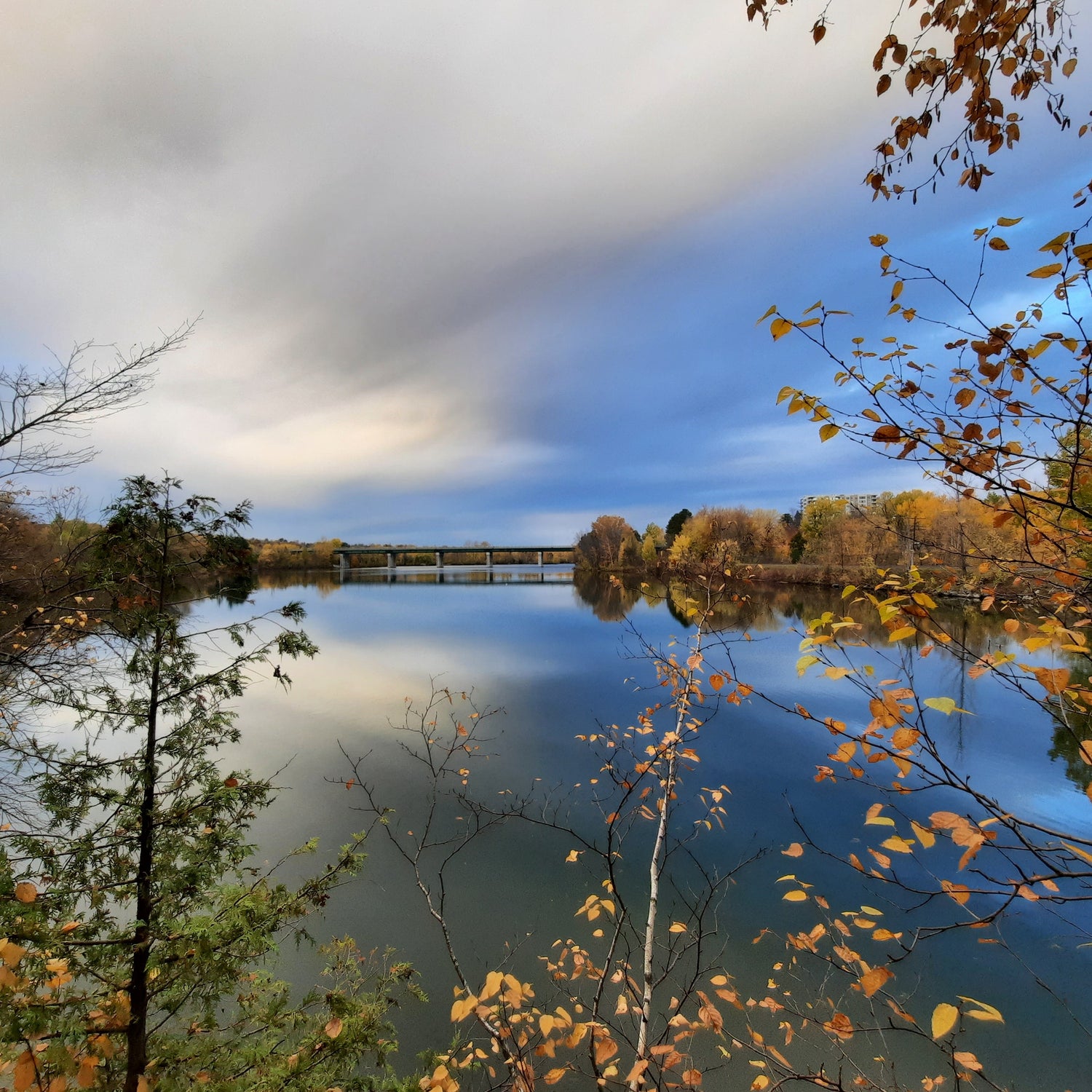 C’est L’automne À Sherbrooke Le 30 Octobre 2021 8H00 (Vue 2.3) Fine Pluie