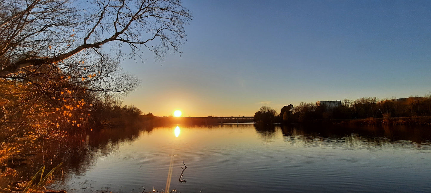 (2021-11-08) Le Journal De David: Coucher Soleil (Vue 1)