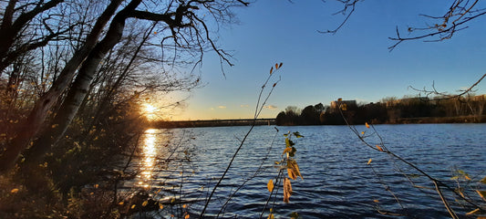 2021-11-10 15:46 Sherbrooke (Vue 0)