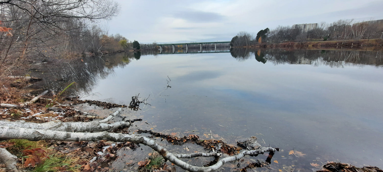 2021-11-21 07:38 Sherbrooke (Vue 1)