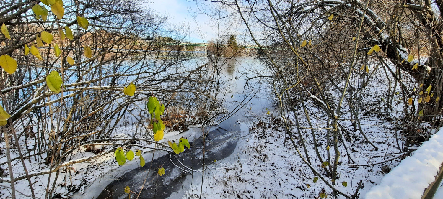 2021-11-28 Glace De La Rivière Magog À Sherbrooke