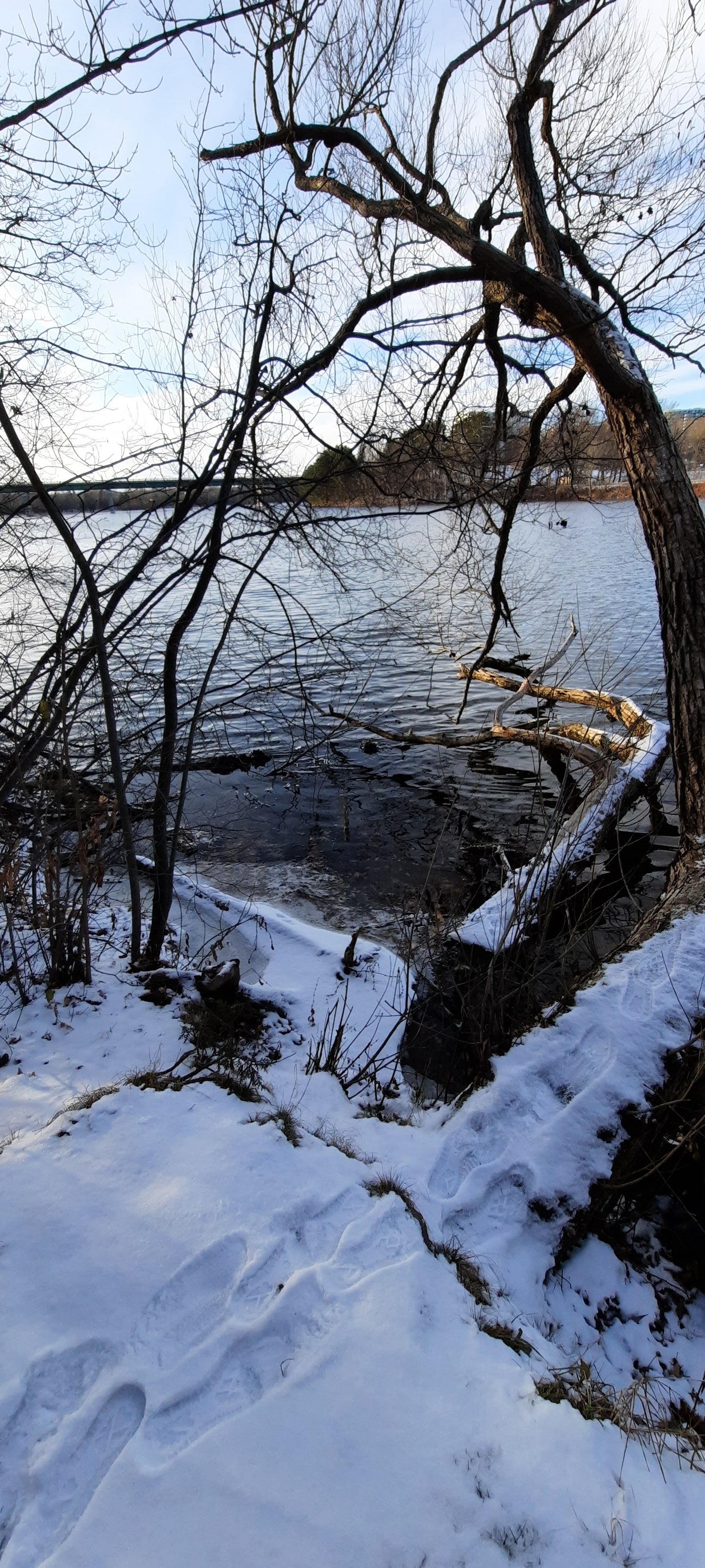 La Glace Est De Retour Sur La Rivière Magog - Journal Sherbrooke Du 2021-11-28 (15 Photos)