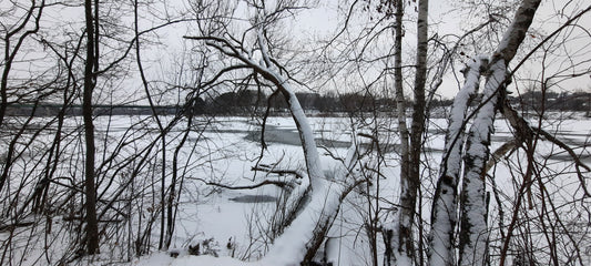 Neige 2021-12-10 Sherbrooke (Vue C1)