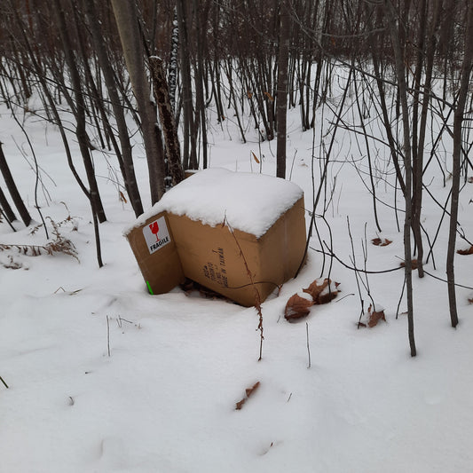 Trouve La Boîte Fragile