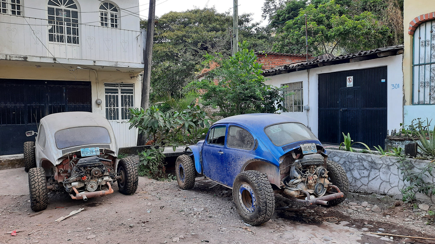 Les 2 Coccinelles Du 27 Décembre 2021 Puerto Vallarta