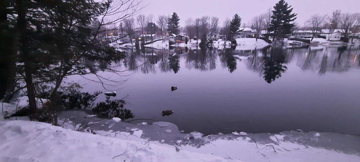 Trouve Les 2 Canards (Vue Bp12)