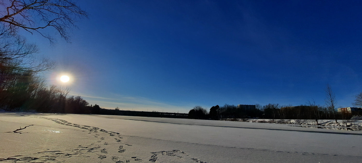 David Sur La Rivière Magog À Sherbrooke (Vue 1)