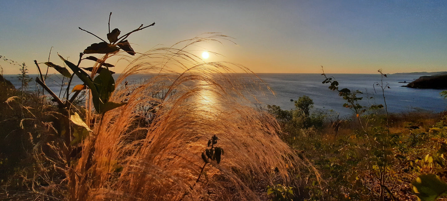 Coucher De Soleil 2022-03-01 (San Juan Del Sur Nicaragua)