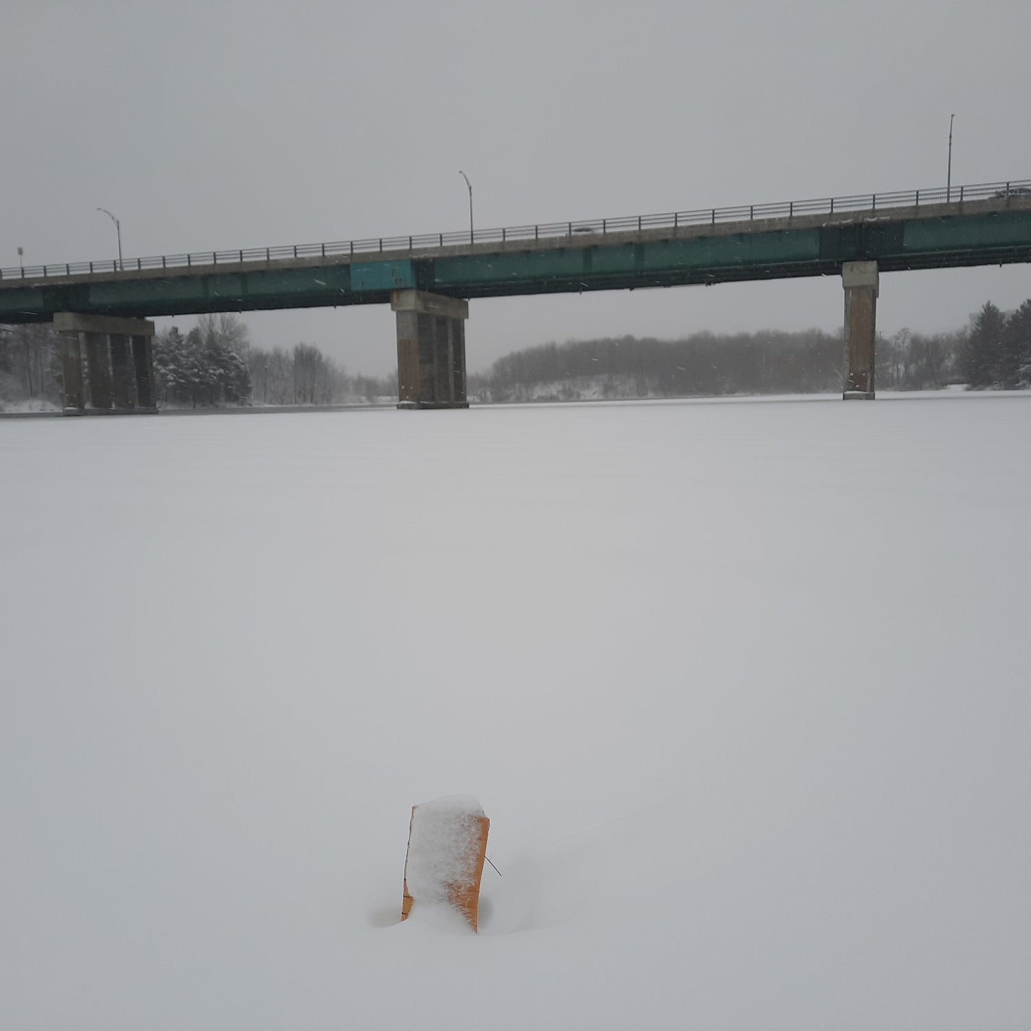 Tempête Du 13 Mars 2022 (Vue T1)