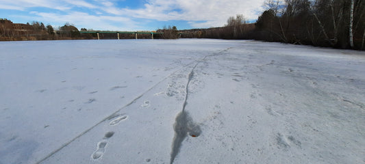 Trouve La Feuille Dans Rivière