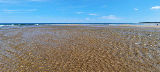 Sable Old Orchard Beach Mai 2022