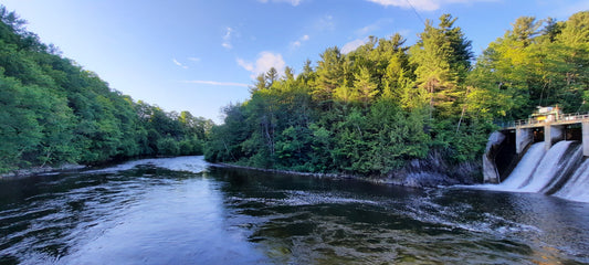 Centrale Rock-Forest (Barrage)