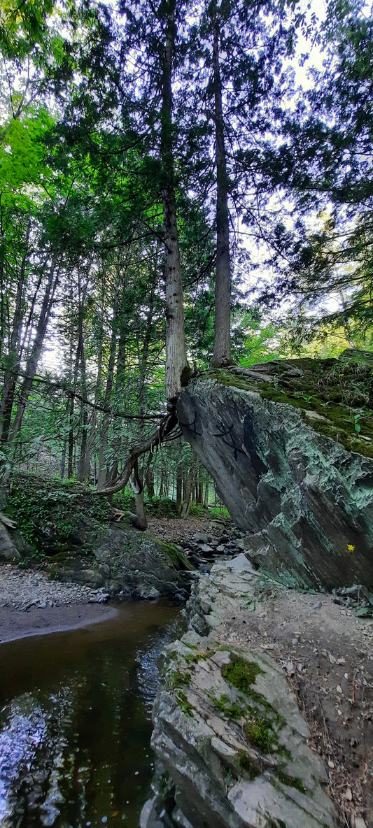 Halte Du Pont Couvert À Ayer’s Cliff