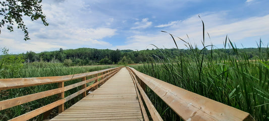 Marais Réal D.-Carbonneau De Sherbrooke.