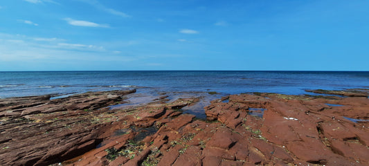 2022-07-11 Golfe Du St-Laurent (Ipe)