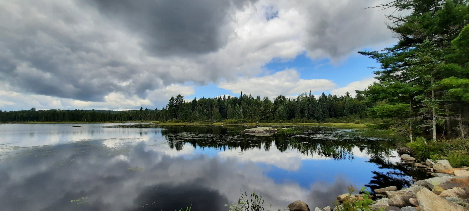 Parc Frontenac (Secteur-Sud)