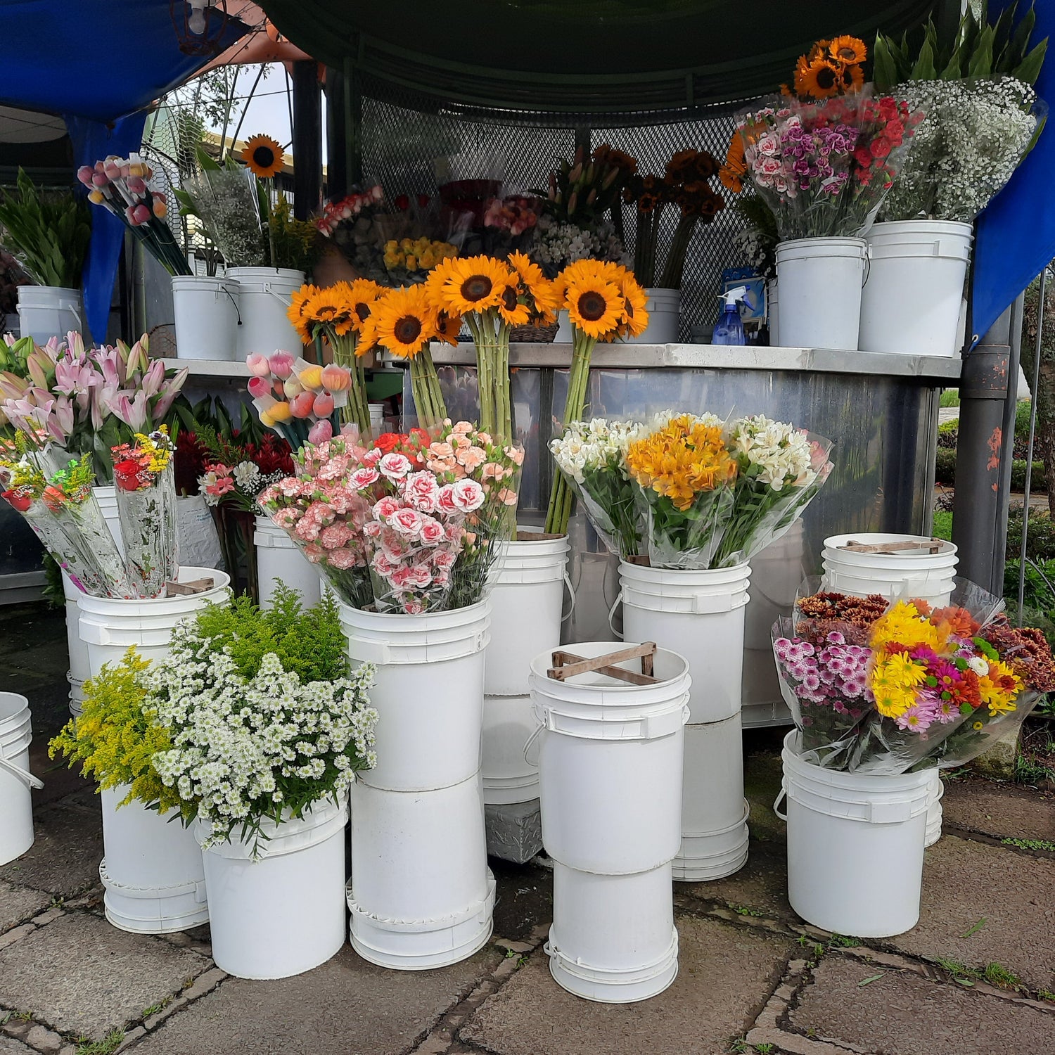 Fleurs Et Trésors