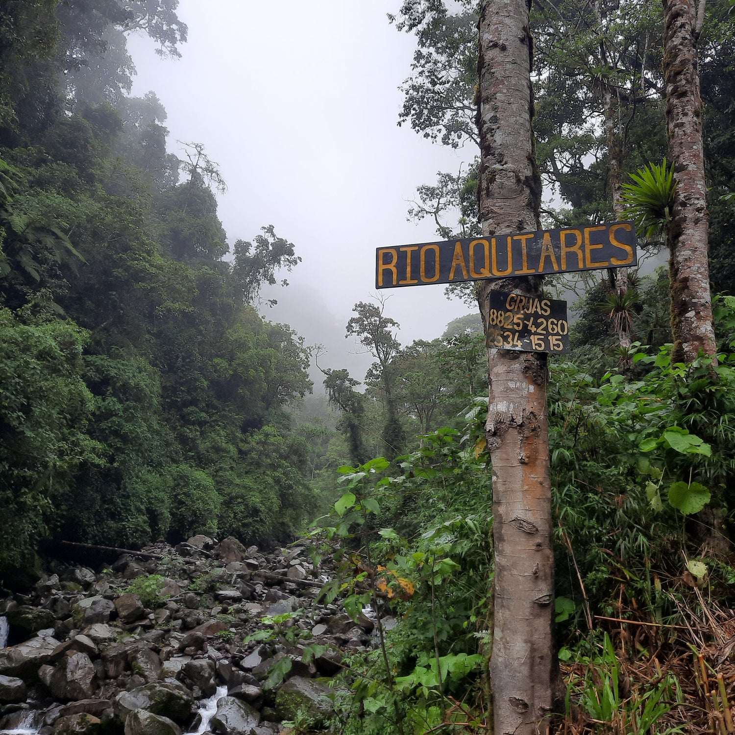 Rio Aquiares