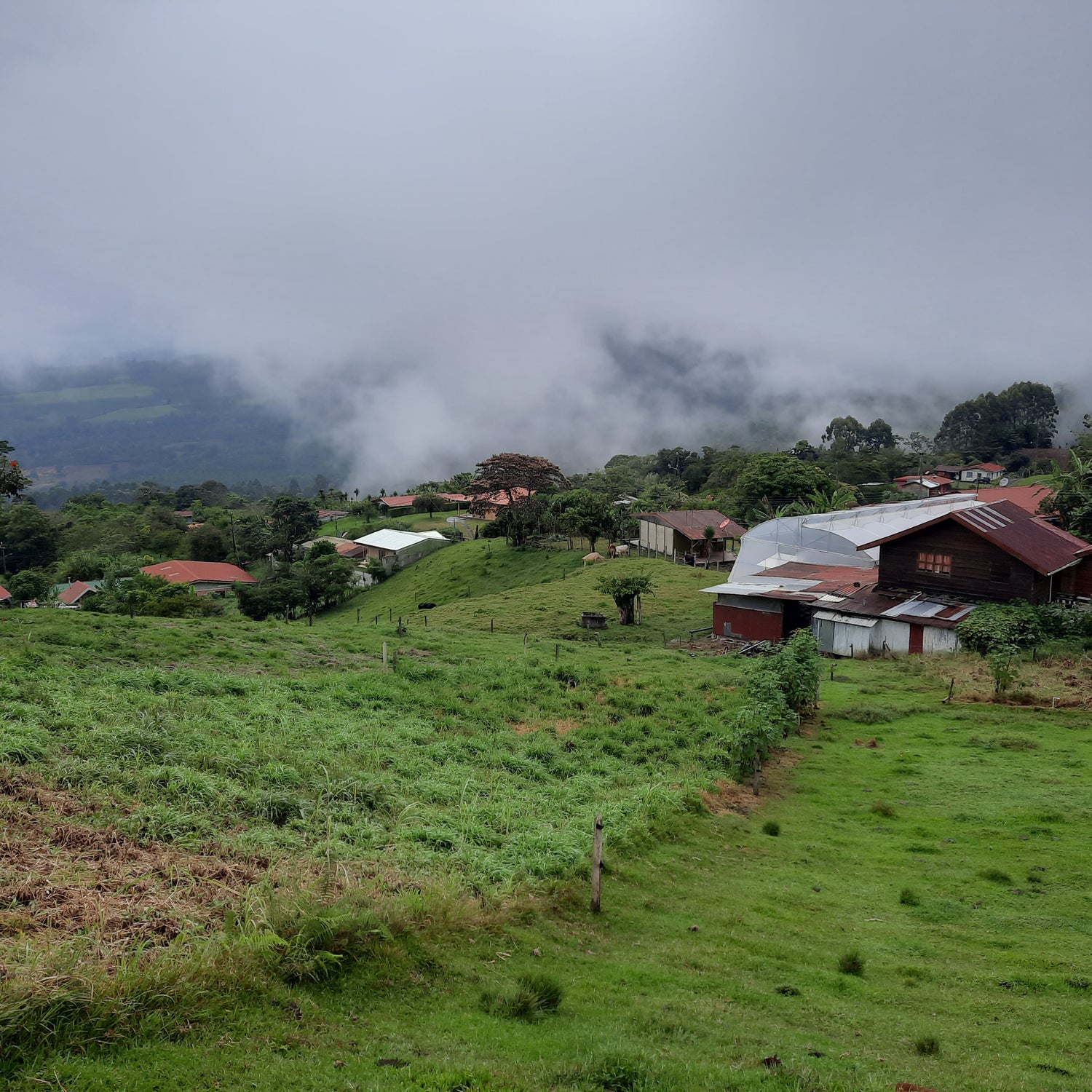 03A - Santa Cruz (Cartago Turrialba)