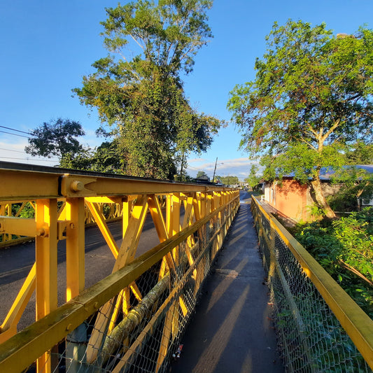 Puente Concepcion